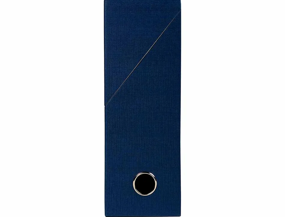 Boite transfert exacompta iderama carton recouvert papier toile 15/10e 25x33cm dos 90mm oeillet prehension