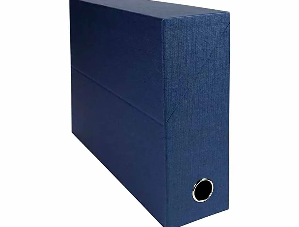 Boite transfert exacompta iderama carton recouvert papier toile 15/10e 25x33cm dos 90mm oeillet prehension