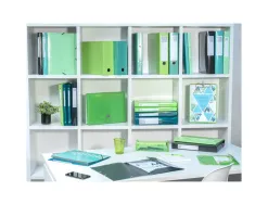 Boite transfert exacompta iderama carton recouvert 15/10e 25x33cm dos 90mm vert anis