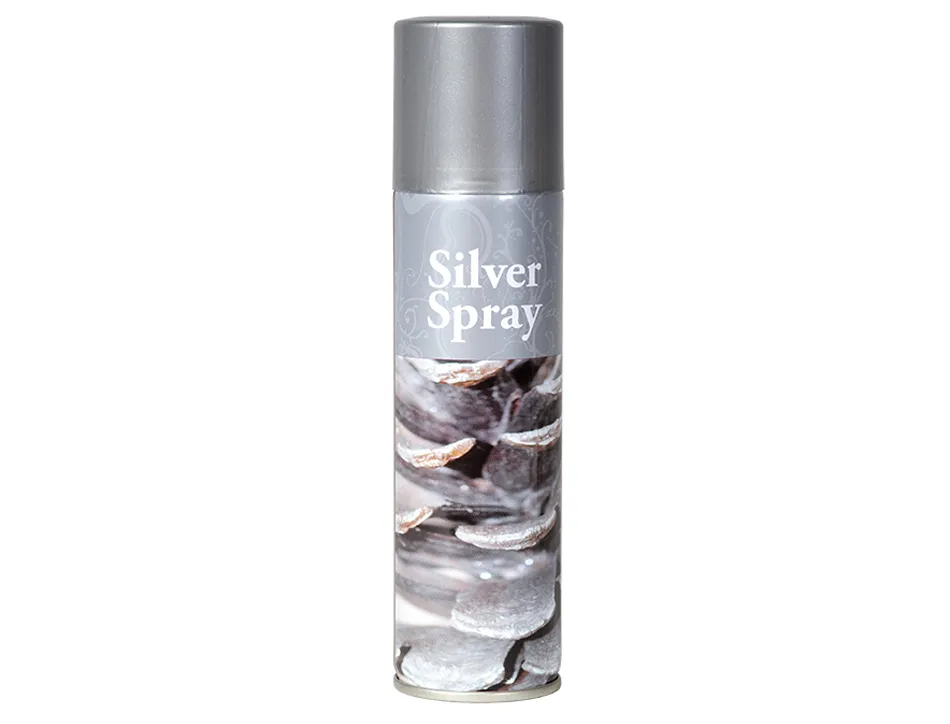 Bombe graine creative argent ininflammable 150 ml