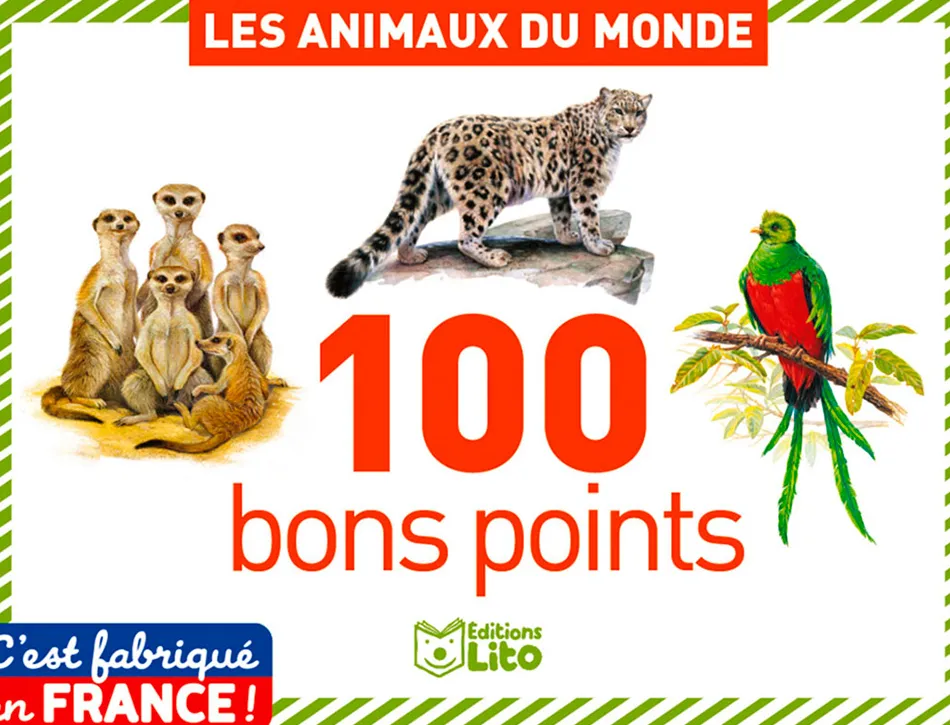 Bon point editions lito animaux du monde texte pedagogique au verso 61x82mm boite 100 unites