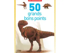 Bon point editions lito les dinosaures 120x140mm boite 50 unites