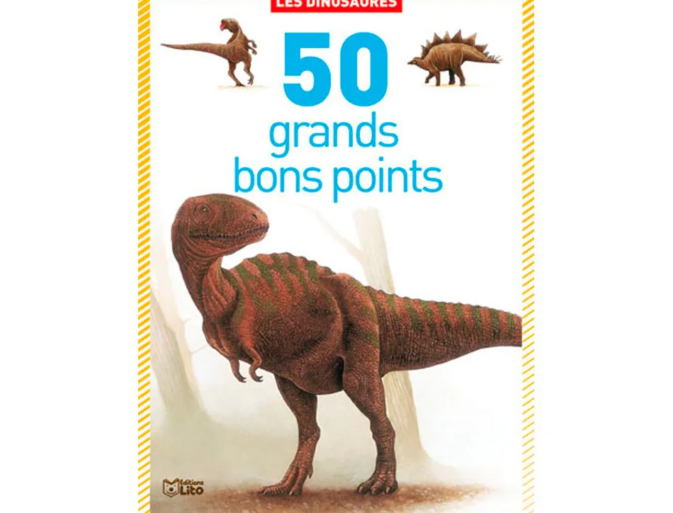 Bon point editions lito les dinosaures 120x140mm boite 50 unites