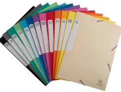 Boîte classement exacompta nature future carte lustrée 5/10e a4+ 240x320mm dos 25mm 400g coloris assortis 25 unités