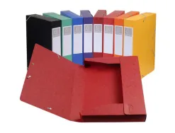 Boîte classement exacompta cartobox carte lustrée 7/10e a4+ 25x33cm dos 5cm livrée à plat coloris assortis lot 10 unités