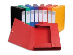 Boîte classement exacompta cartobox carte lustrée 7/10e a4+ 25x33cm dos 5cm livrée à plat coloris assortis lot 10 unités