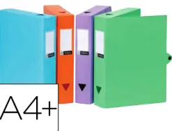Boîte classement viquel polypropylène 8/10e dos 40mm fermeture patte bouton pression coloris assortis style
