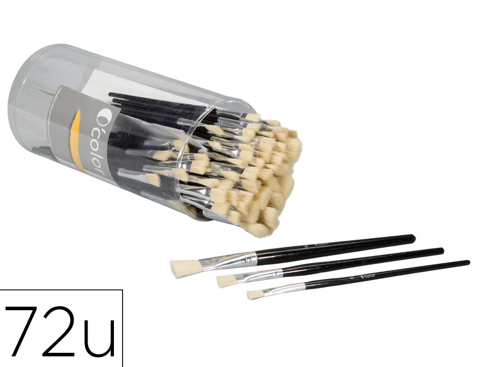 Brosse plate o'color poils soie porc virole aluminium manche bois naturel 24 x nº6 10 16 boite 72 unites