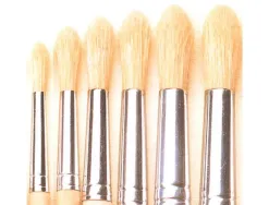 Brosse ronde o'color poils soie blanche n 06 utilisation scolaire lot 10 unites