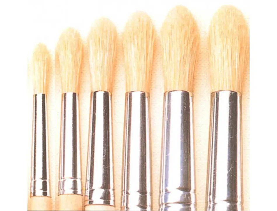 Brosse ronde o'color poils soie blanche n 20 utilisation scolaire lot 10 unites