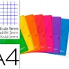 Cahier agrafe oxford easybook polypropylene 96 pages 90g 5x5mm a4 marge 2 pochettes page de garde coloris