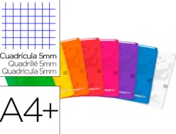 Cahier agrafe oxford easybook polypropylene 96 pages 90g 5x5mm a4+ marge 2 pochettes page de garde coloris