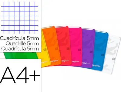 Cahier agrafe oxford easybook polypropylene 96 pages 90g 5x5mm a4+ marge 2 pochettes page de garde coloris