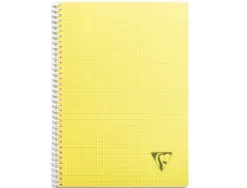 Cahier clairefontaine linicolor reliure intégrale assortiment fresh a4 21x29,7cm 180 pages 90g 5x5mm