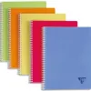 Cahier clairefontaine linicolor reliure intégrale assortiment fresh a5+ 17x22cm 100 pages 90g 5x5mm