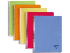 Cahier clairefontaine linicolor reliure intégrale assortiment fresh a5+ 17x22cm 100 pages 90g 5x5mm