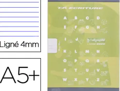 Cahier clairefontaine maternelle couverture carte offset 17x22cm 32 pages 16 double ligne 4mm/16 unies 90g vert