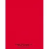 Cahier conquerant classique agrafe 240x320 96p 90g q5 polypro rouge pefc