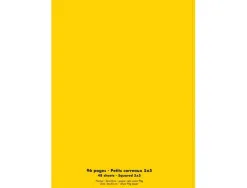Cahier conquerant poplypropylene indechirable et lavable papier velin extra 24x32 cm 96 pages 5x5 piqure