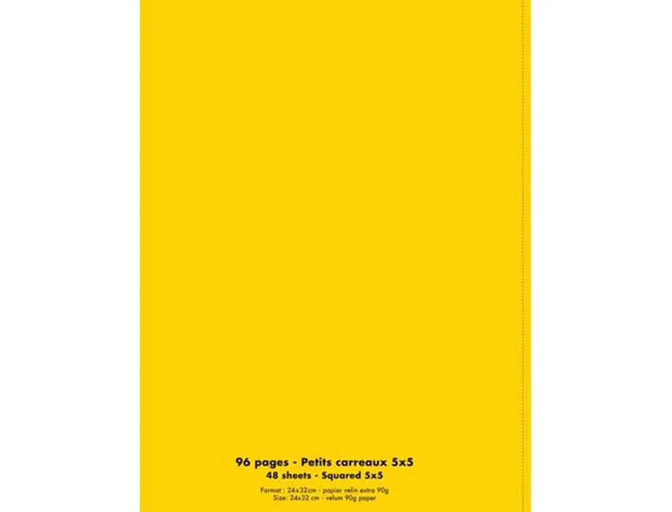 Cahier conquerant poplypropylene indechirable et lavable papier velin extra 24x32 cm 96 pages 5x5 piqure