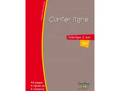 Cahier hamelin serpodile 17x22 cm 48 pages double ligne 2mm avec marge niveau 5