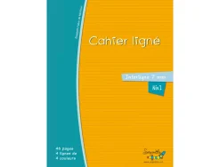 Cahier hamelin serpodile 21x29.7 cm a4 48 pages double ligne 7mm niveau 1