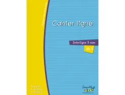 Cahier hamelin serpodile 17x22 cm 48 pages double ligne 3mm niveau 3