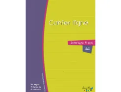 Cahier hamelin serpodile 21x29.7 cm a4 48 pages double ligne 5mm niveau 2
