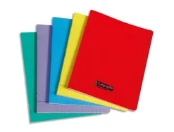 Cahier piqûre calligraphe 17 x 22 cm 96 pages seyes polypro coloris assortis