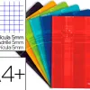 Cahier piqué clairefontaine a+ 24x32cm 48 pages 90g quadrillage 5mm coloris assortis