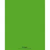 Cahier piqué conquérant classique couverture polypropylène rigide transparente a4+ 24x32cm 48 pages 90g séyès vert