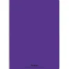 Cahier piqué conquérant classique couverture polypropylène rigide transparente a4 21x29,7cm 96 pages 90g séyès violet