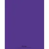Cahier piqué conquérant classique couverture polypropylène rigide transparent a4+ 24x32cm 48 pages 90g séyès violet