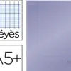 Cahier piqué liderpapel couverture plastique soup le a5+ 17x22cm 90g 96 pages séyès coloris violet