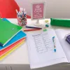 Cahier pique clairefontaine mimesys couverture polypropylene 24x32cm 96 pages 90g seyes coloris
