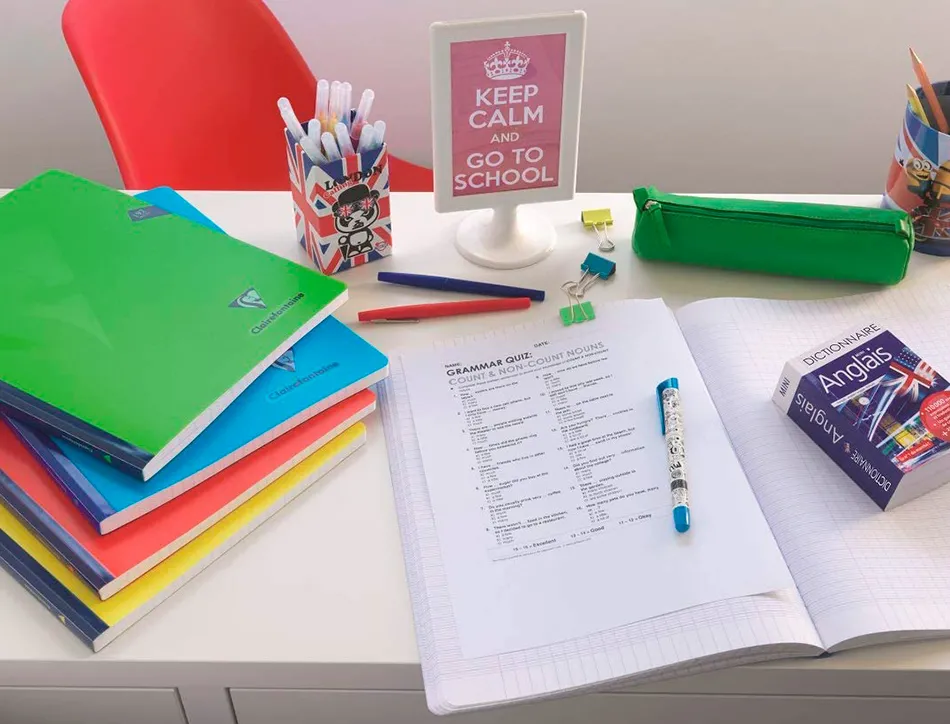 Cahier pique clairefontaine mimesys couverture polypropylene 24x32cm 96 pages 90g seyes coloris