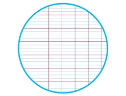 Cahier pique clairefontaine koverbook blush polypropylene 24x32cm 96 pages seyes coloris pastel assortis