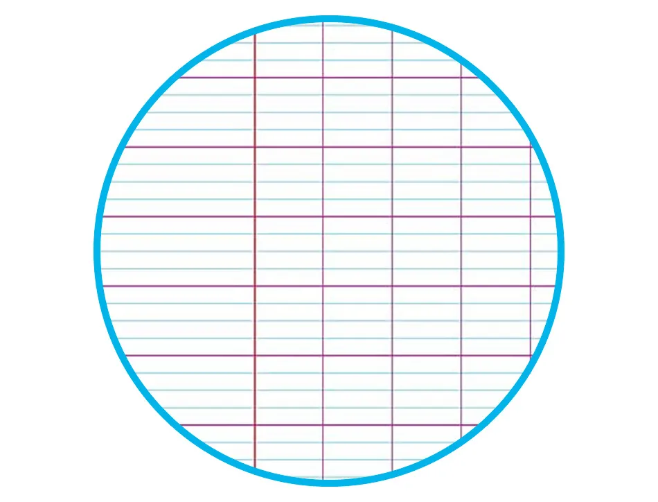 Cahier pique clairefontaine koverbook blush polypropylene 24x32cm 96 pages seyes coloris pastel assortis