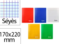 Cahier piqure liderpapel couverture pp 170x220mm 96p seyes coloris assortis lot 10 unites