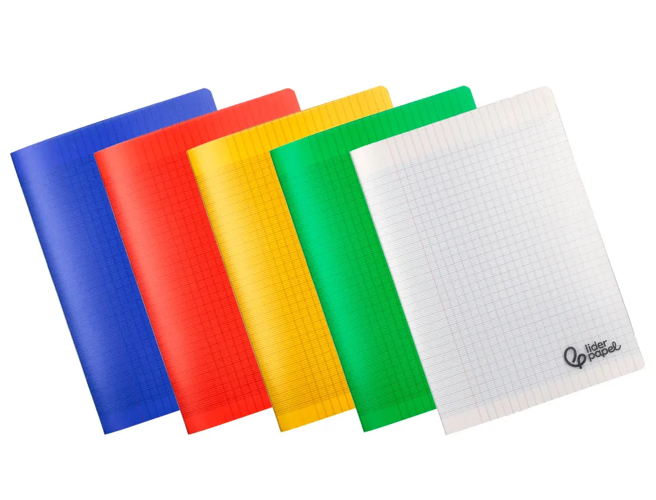 Cahier piqure liderpapel couverture pp 240x320mm 48p seyes coloris assortis lot 20 unites
