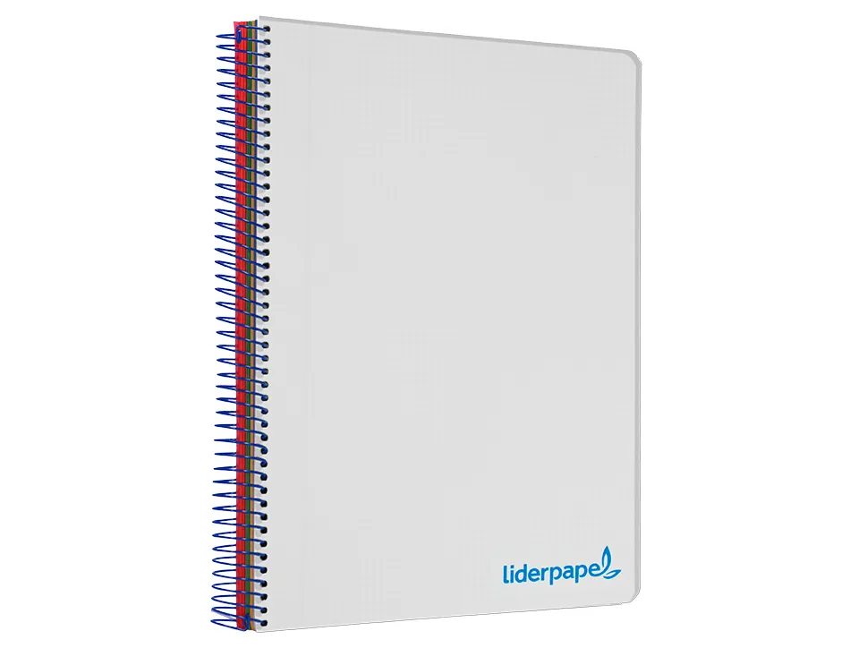 Cahier spirale liderpapel a5 micro wonder 240 pages 90g 5x5mm 6 trous 5 bandes couleurs gris