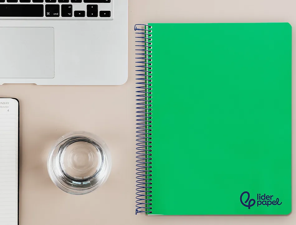 Cahier spirale liderpapel a4 micro wonder 240 pages 90g 5x5mm 4 trous 5 bandes couleurs vert