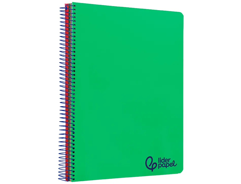 Cahier spirale liderpapel a4 micro wonder 240 pages 90g 5x5mm 4 trous 5 bandes couleurs vert