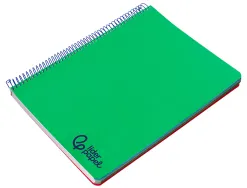Cahier spirale liderpapel a4 micro wonder 240 pages 90g 5x5mm 4 trous 5 bandes couleurs vert