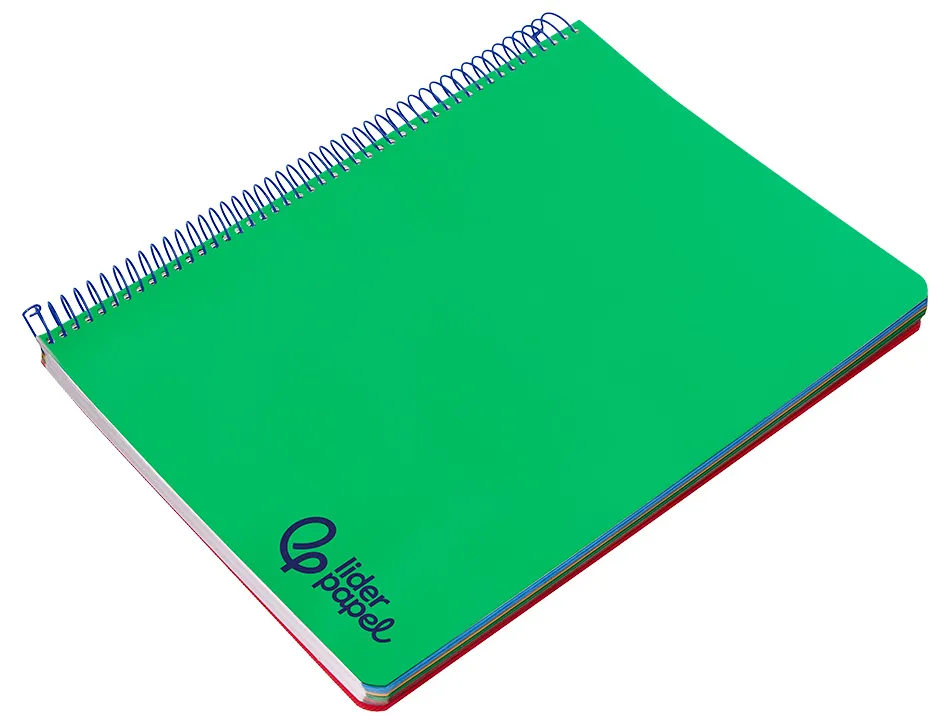 Cahier spirale liderpapel a4 micro wonder 240 pages 90g 5x5mm 4 trous 5 bandes couleurs vert