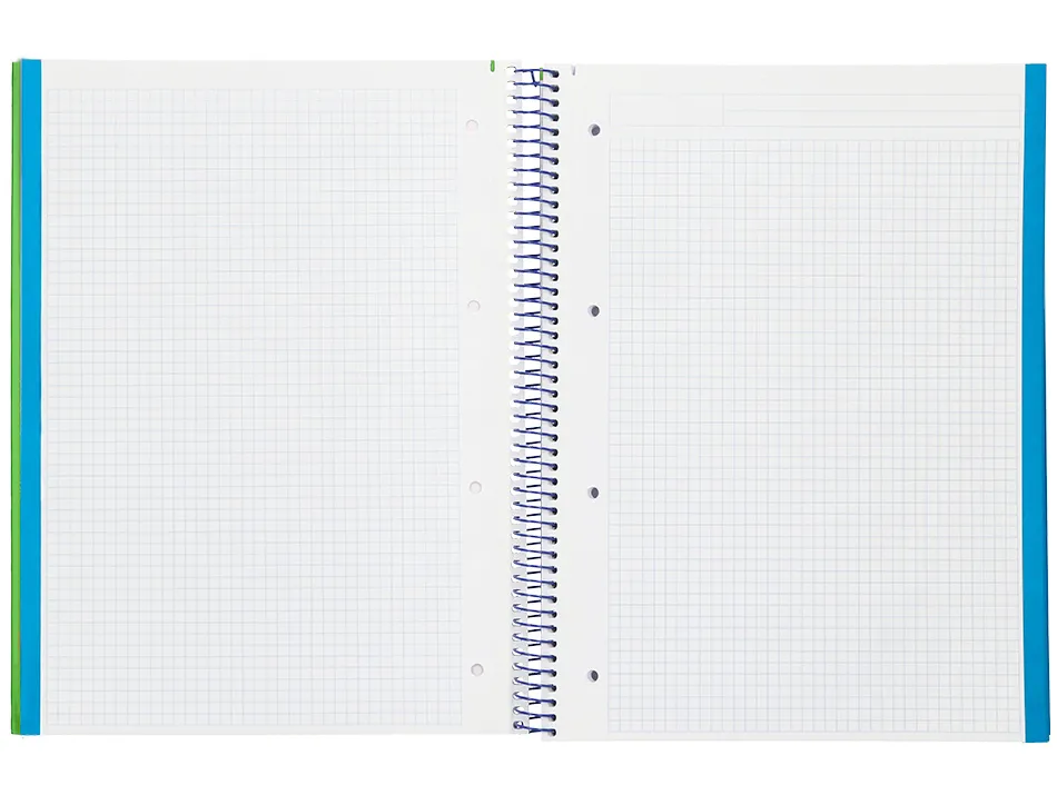 Cahier spirale liderpapel a4 micro wonder 240 pages 90g 5x5mm 4 trous 5 bandes couleurs vert