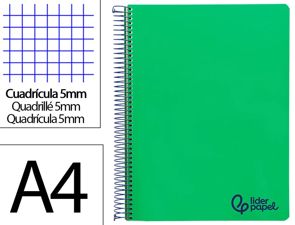 Cahier spirale liderpapel a4 micro wonder 240 pages 90g 5x5mm 4 trous 5 bandes couleurs vert