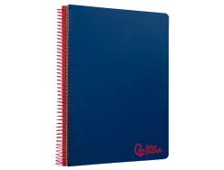 Cahier spirale liderpapel a4 micro wonder 240 pages 90g 5x5mm 4 trous 5 bandes couleurs bleu marine