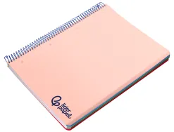 Cahier spirale liderpapel a4 micro wonder 240 pages 90g 5x5mm 4 trous 5 bandes couleurs rose