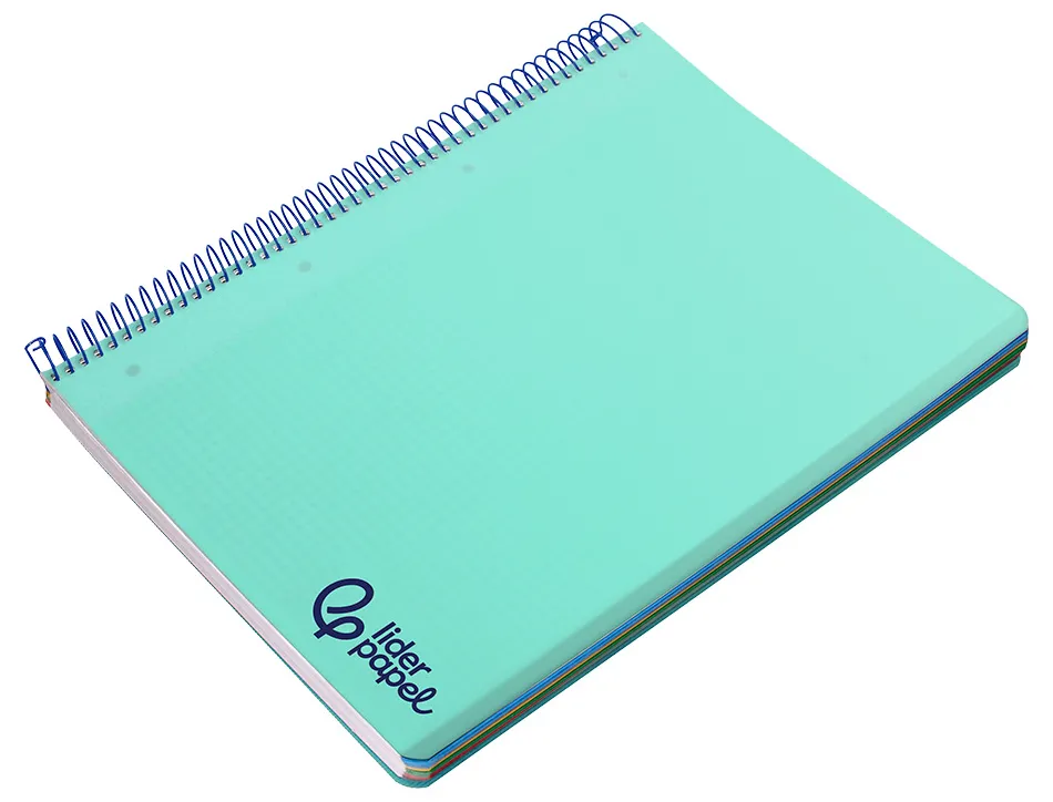 Cahier spirale liderpapel a4 micro wonder 240 pages 90g 5x5mm 4 trous 5 bandes couleurs vert